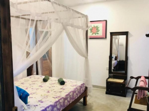 Lasindu Guest